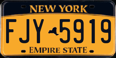 NY license plate FJY5919