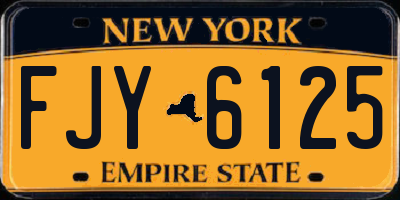 NY license plate FJY6125