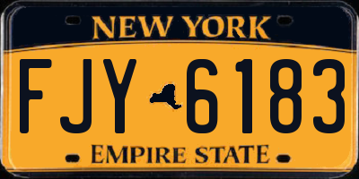 NY license plate FJY6183