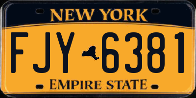 NY license plate FJY6381