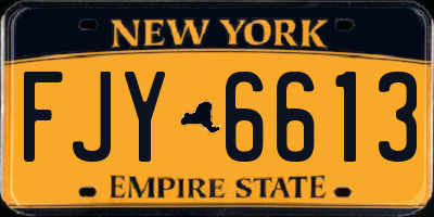 NY license plate FJY6613