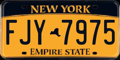 NY license plate FJY7975
