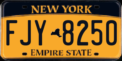 NY license plate FJY8250