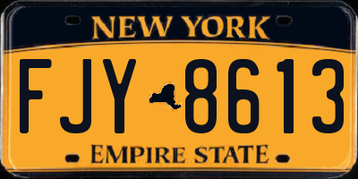 NY license plate FJY8613