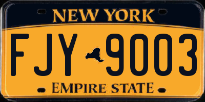NY license plate FJY9003