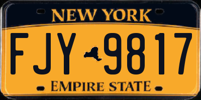 NY license plate FJY9817