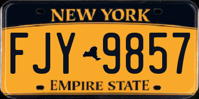NY license plate FJY9857