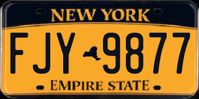 NY license plate FJY9877