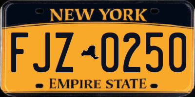 NY license plate FJZ0250