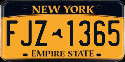 NY license plate FJZ1365