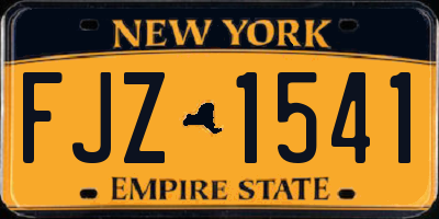 NY license plate FJZ1541