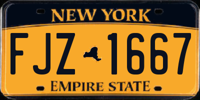 NY license plate FJZ1667