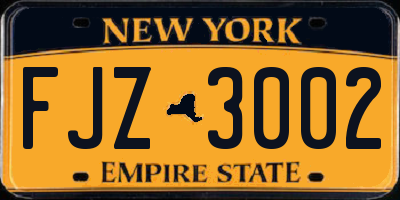 NY license plate FJZ3002