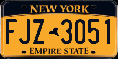 NY license plate FJZ3051
