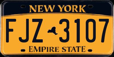 NY license plate FJZ3107