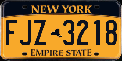 NY license plate FJZ3218