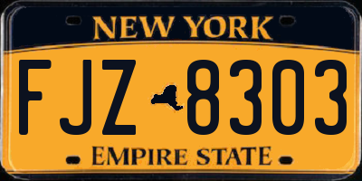NY license plate FJZ8303