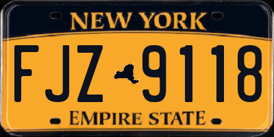 NY license plate FJZ9118