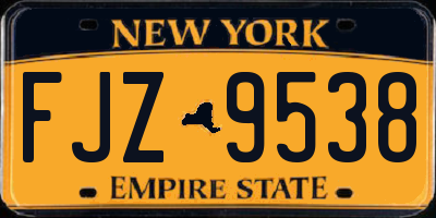 NY license plate FJZ9538
