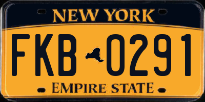 NY license plate FKB0291