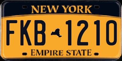NY license plate FKB1210