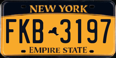 NY license plate FKB3197