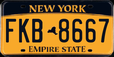 NY license plate FKB8667