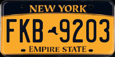 NY license plate FKB9203