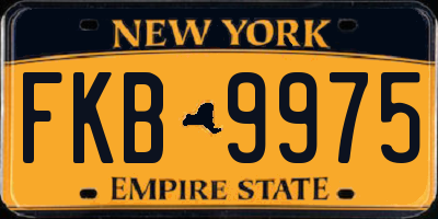 NY license plate FKB9975