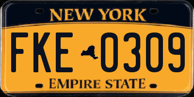 NY license plate FKE0309