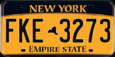 NY license plate FKE3273