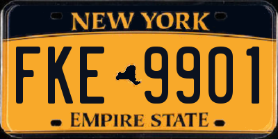 NY license plate FKE9901