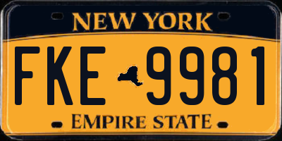 NY license plate FKE9981