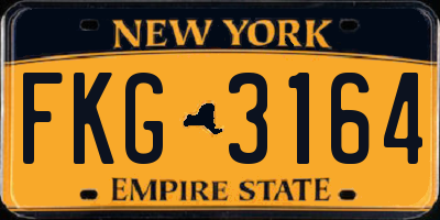 NY license plate FKG3164