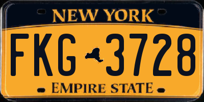 NY license plate FKG3728