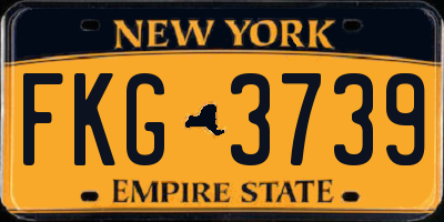 NY license plate FKG3739