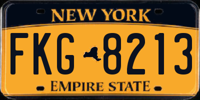 NY license plate FKG8213
