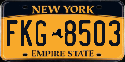 NY license plate FKG8503