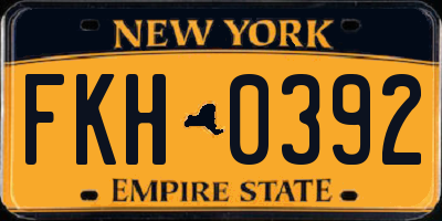 NY license plate FKH0392