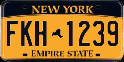 NY license plate FKH1239