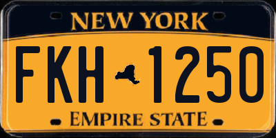 NY license plate FKH1250