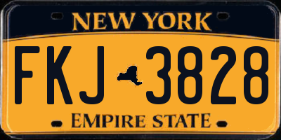 NY license plate FKJ3828