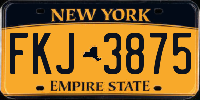 NY license plate FKJ3875