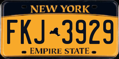 NY license plate FKJ3929
