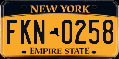 NY license plate FKN0258