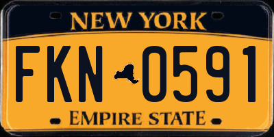 NY license plate FKN0591