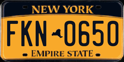 NY license plate FKN0650