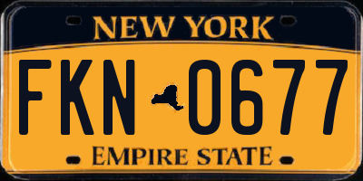 NY license plate FKN0677