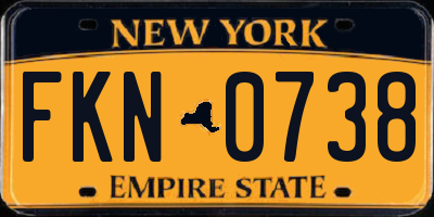NY license plate FKN0738
