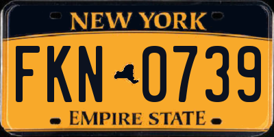 NY license plate FKN0739